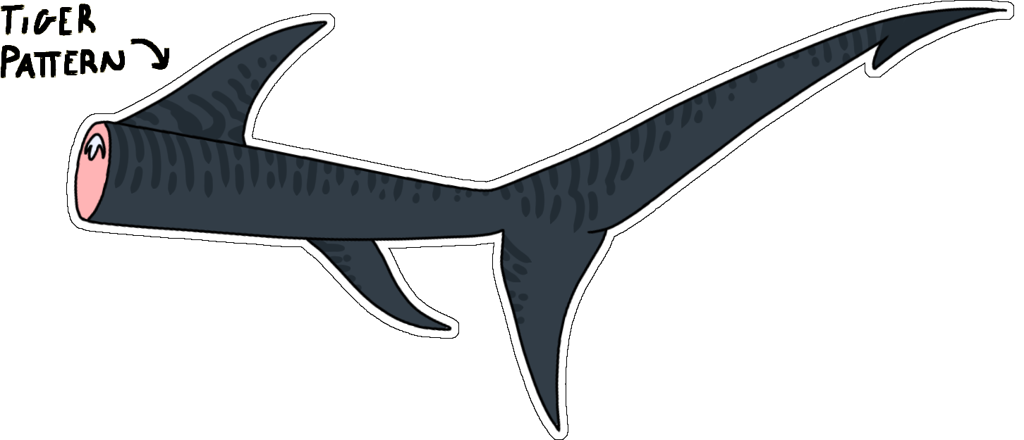 Capri's tail and tail fins