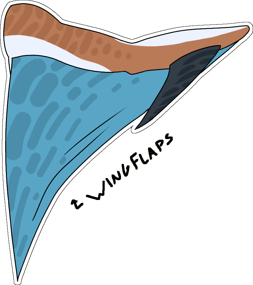 Capri's arm with extended wingflaps